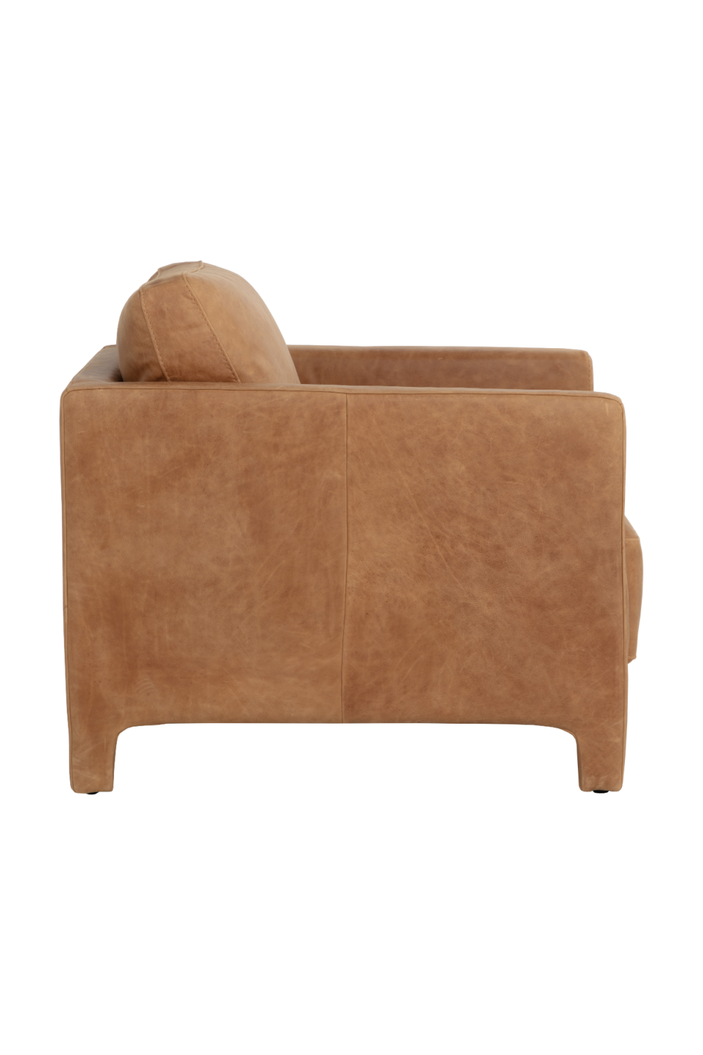 Bovine Leather Lounge Chair by Splendido Rodney Accent Chair, alternate view 4