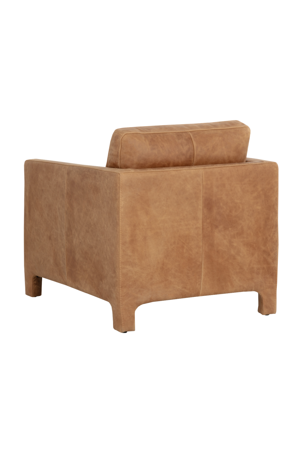 Bovine Leather Lounge Chair by Splendido Rodney Accent Chair, alternate view 5