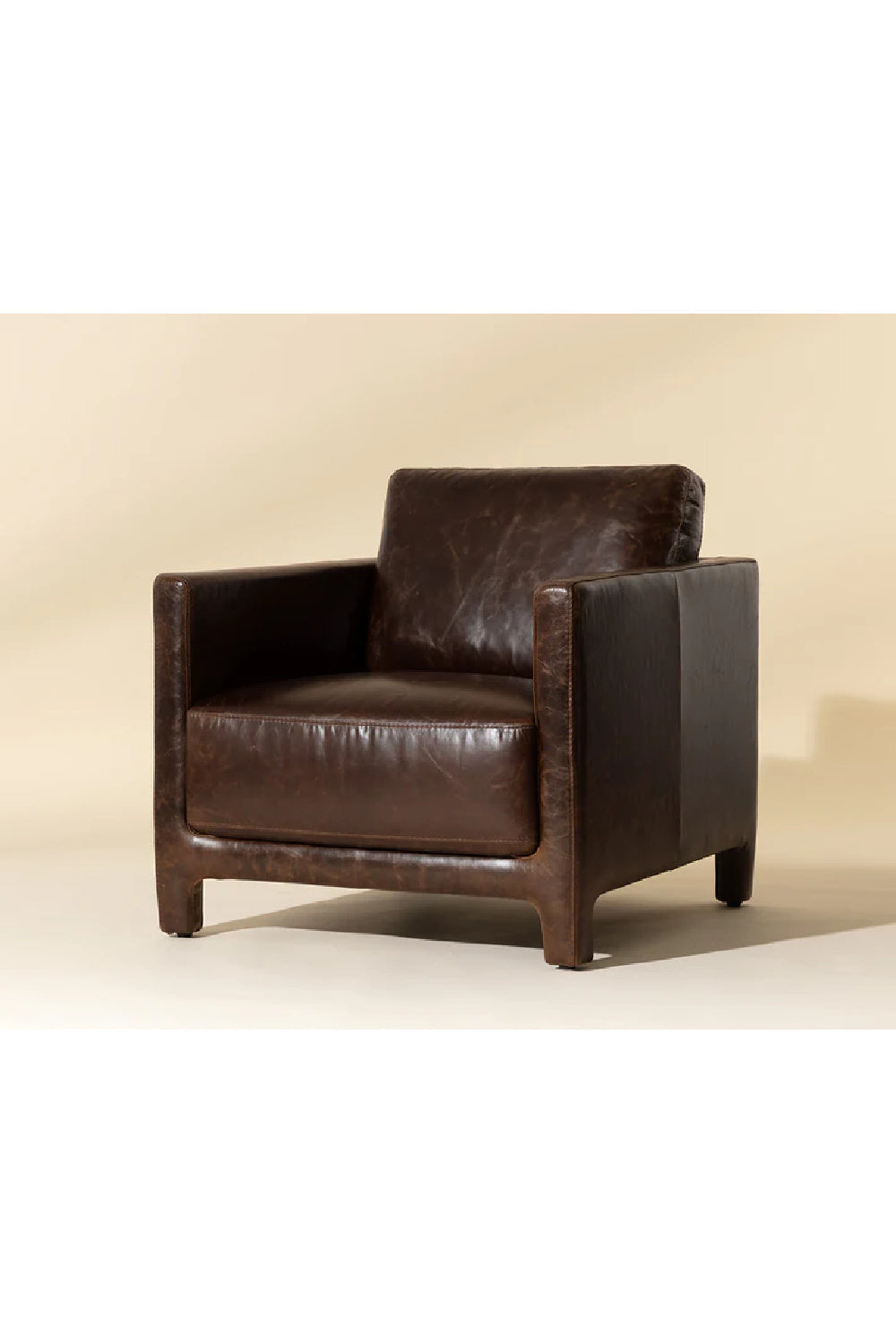 Bovine Leather Lounge Chair by Splendido Rodney Accent Chair, alternate view 21