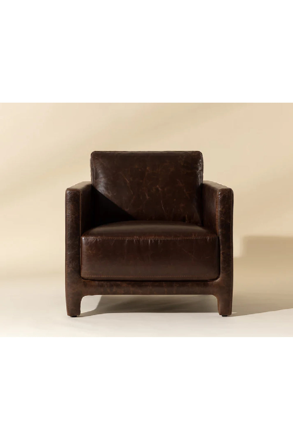 Bovine Leather Lounge Chair by Splendido Rodney Accent Chair, alternate view 22