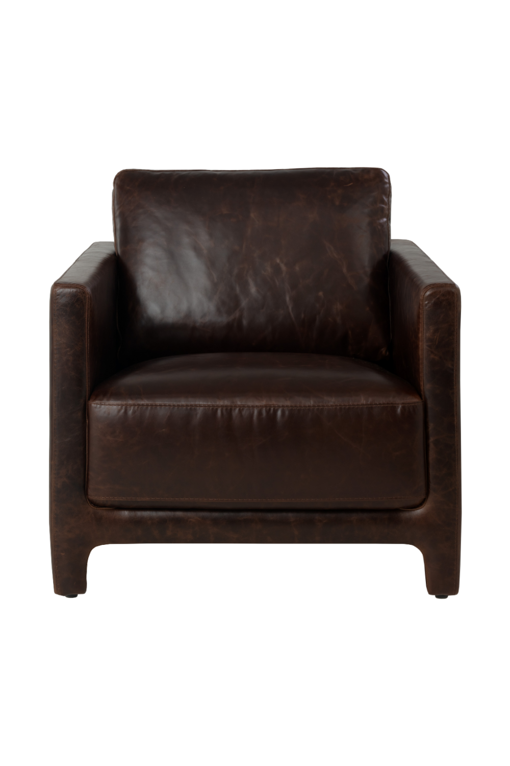 Bovine Leather Lounge Chair by Splendido Rodney Accent Chair, alternate view 16