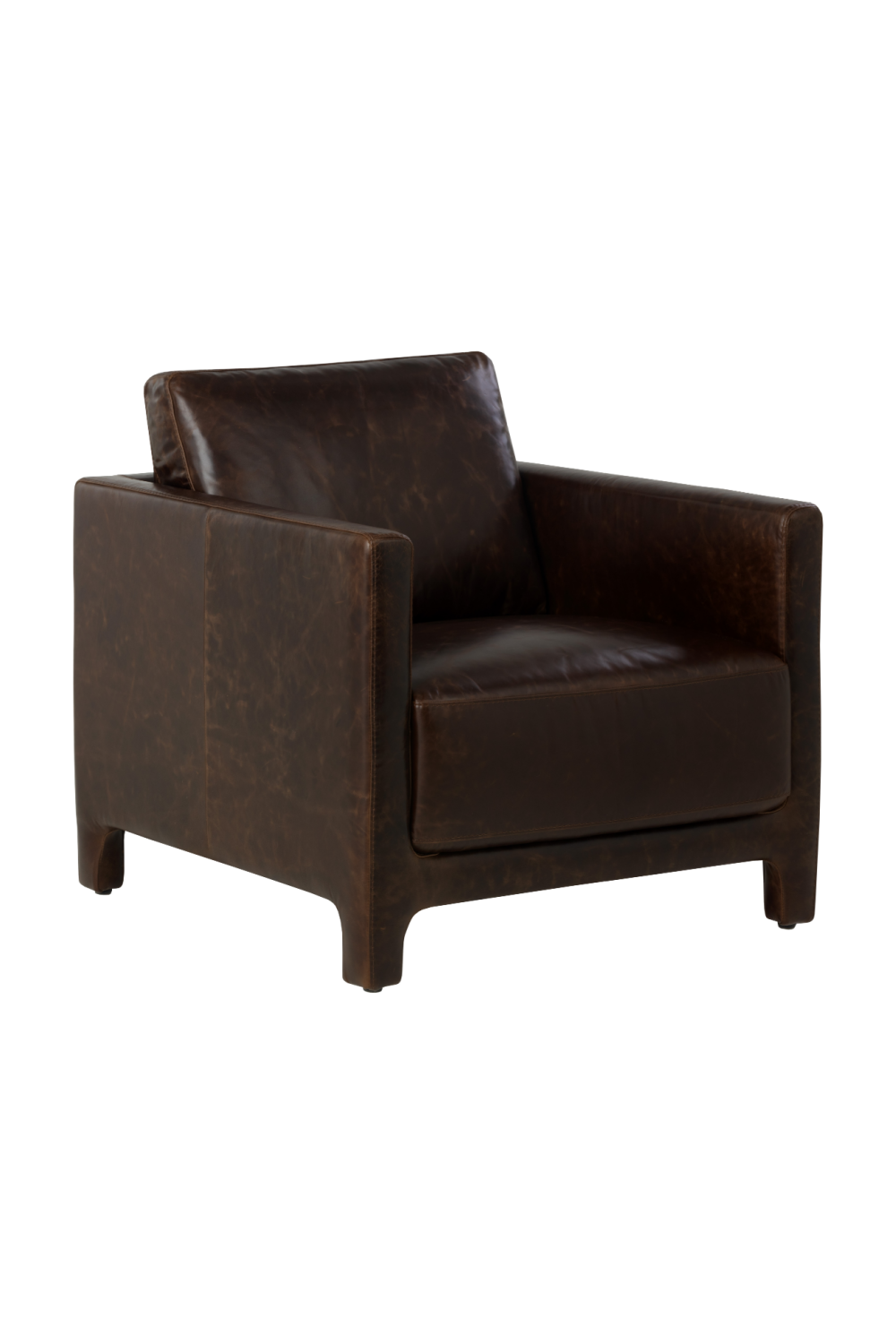Bovine Leather Lounge Chair by Splendido Rodney Accent Chair, alternate view 14