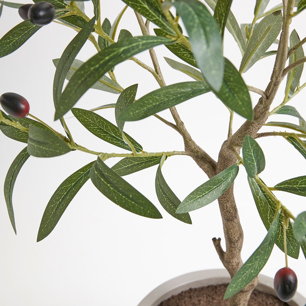 Artificial Olive Topiary Tree with Mediterranean Pot - OROA