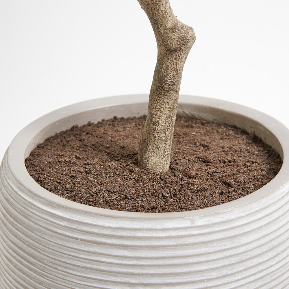Artificial Olive Topiary Tree with Mediterranean Pot - OROA