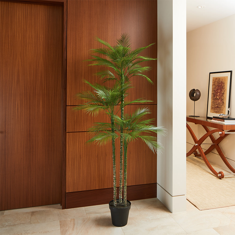 Everlasting Palm Tree - OROA