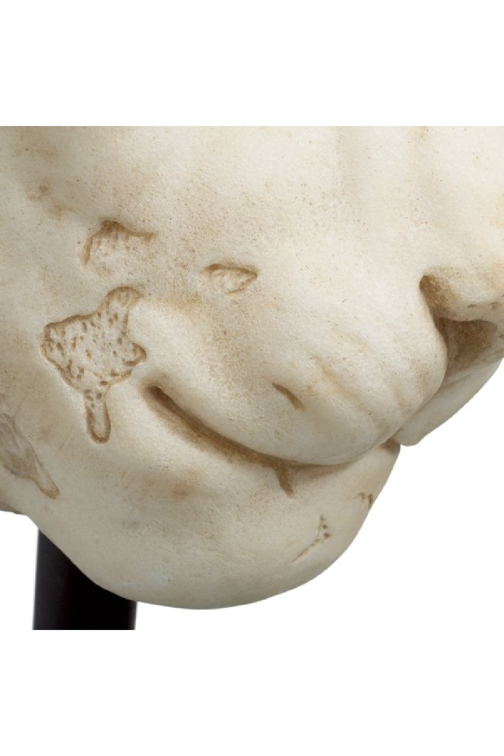 Animal Head Sculpture Object | The Met x Eichholtz Lion | Oroa.com