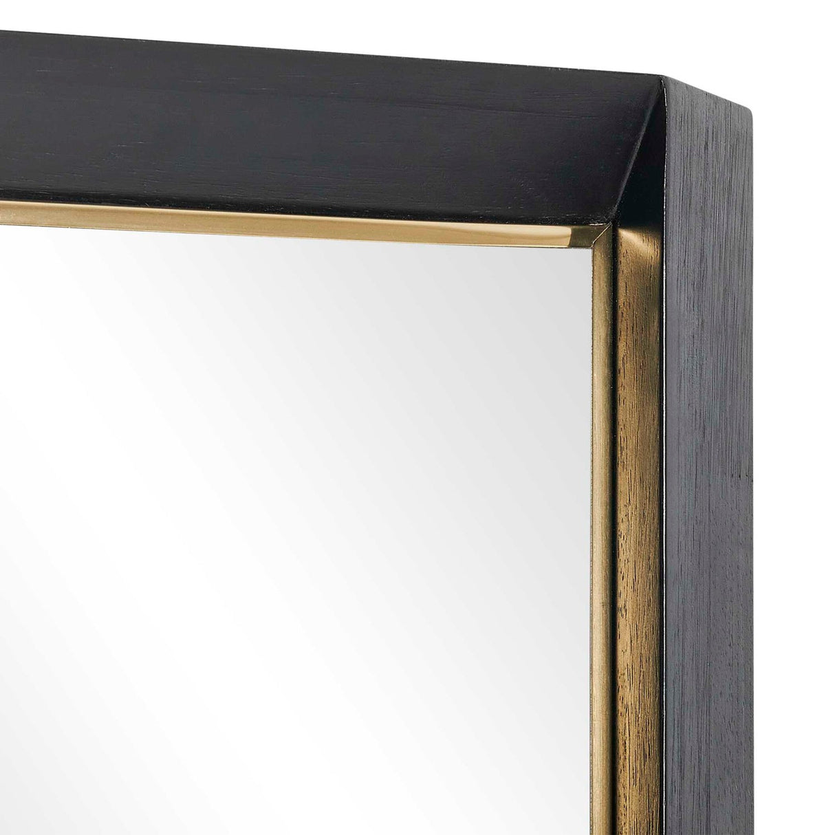 Modern European furniture - Black Wooden Tall Mirror - www.oroa.com
