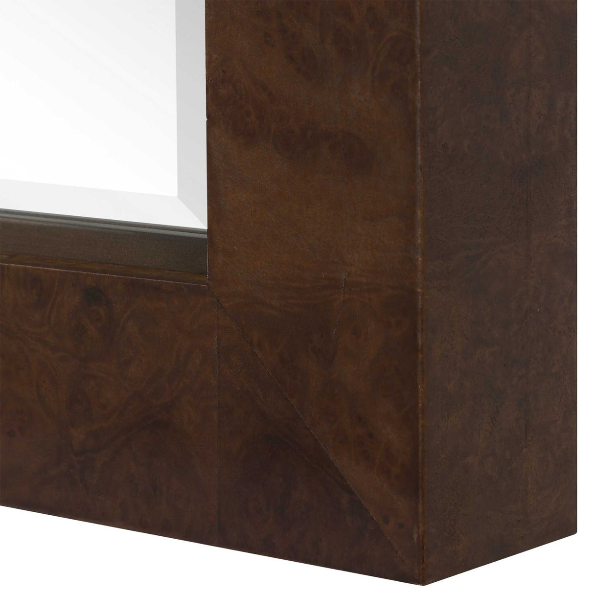 Modern European furniture - Burl Veneer Tall Mirror - www.oroa.com