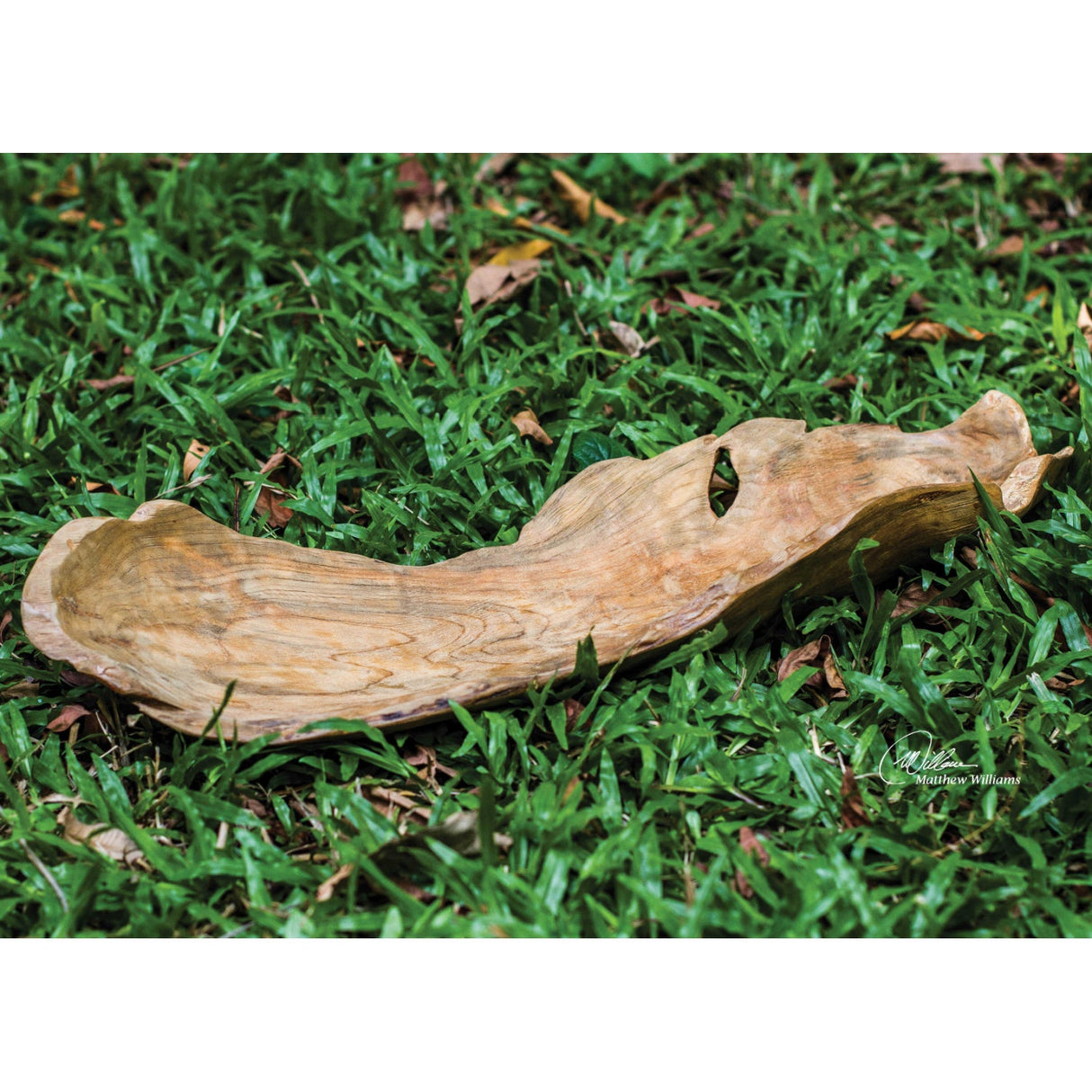 Modern European furniture - Natural Wood Indoor/Outdoor Bowl - www.oroa.com