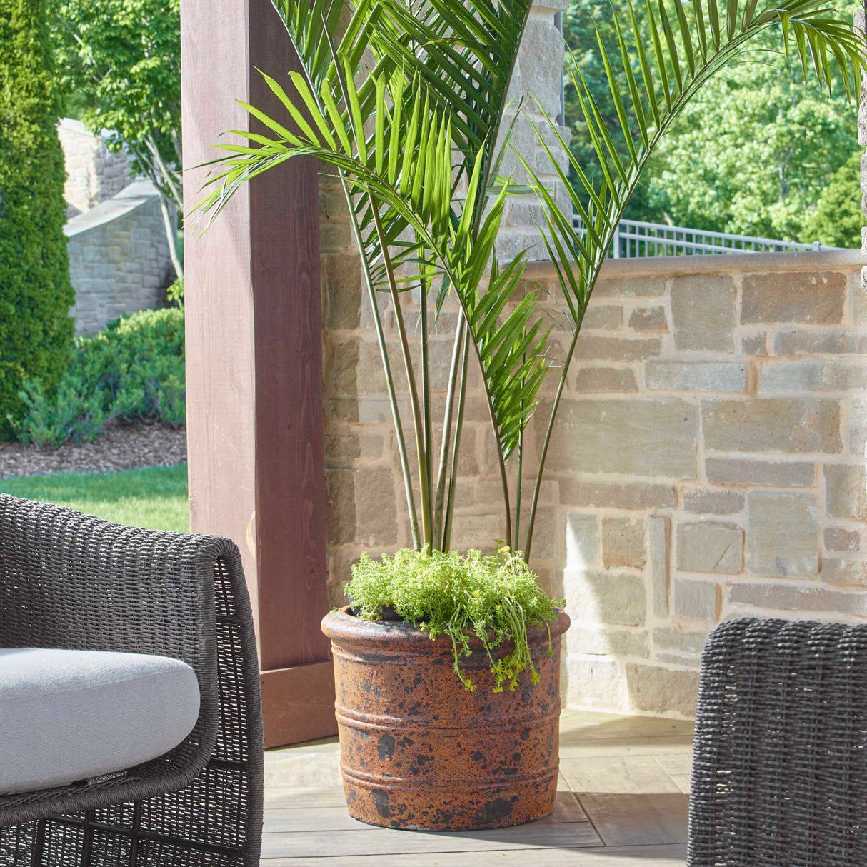 Modern European furniture - Rustic Black Concrete Indoor/Outdoor Planter - www.oroa.com