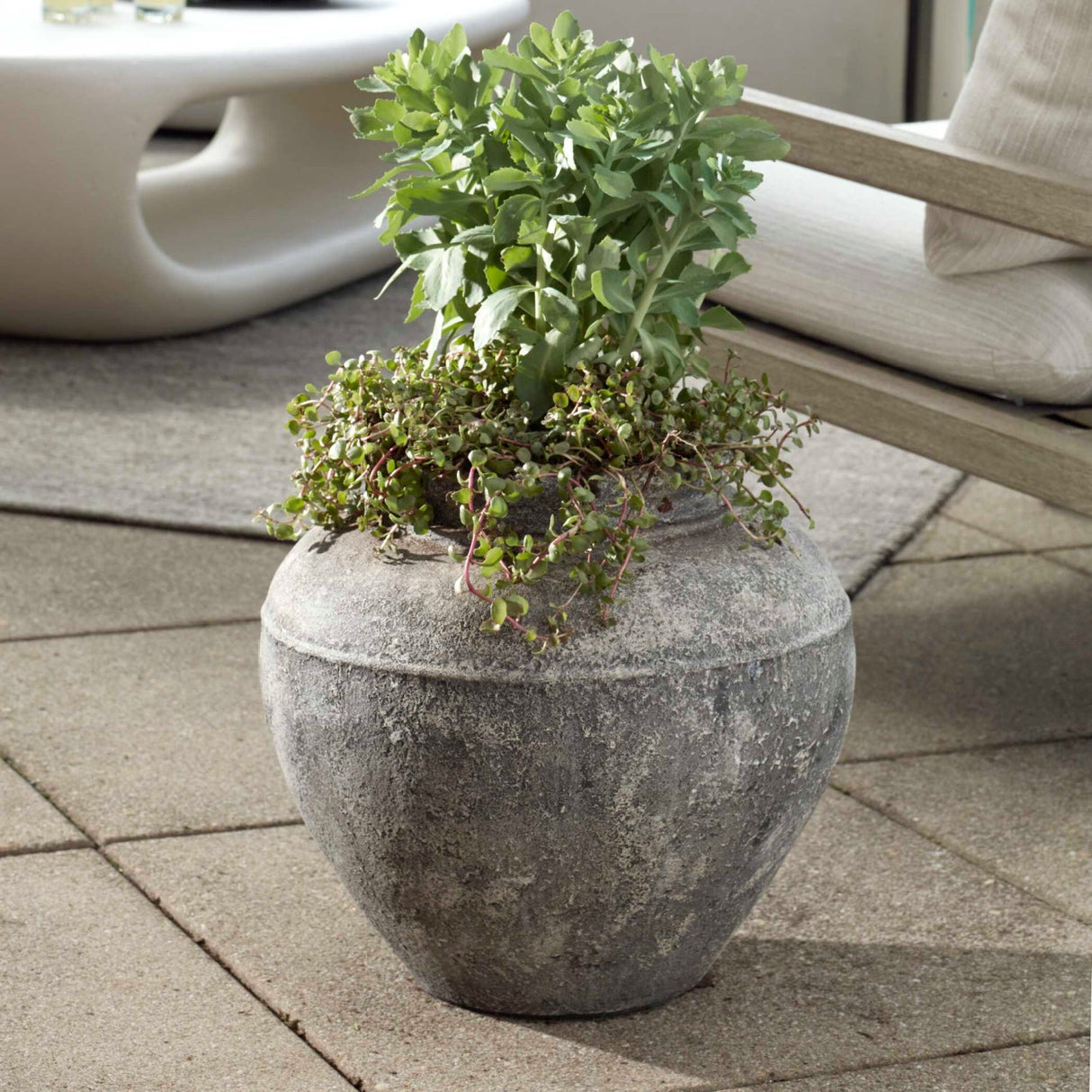 Modern European furniture - Rustic Concrete Indoor/Outdoor Planter - www.oroa.com