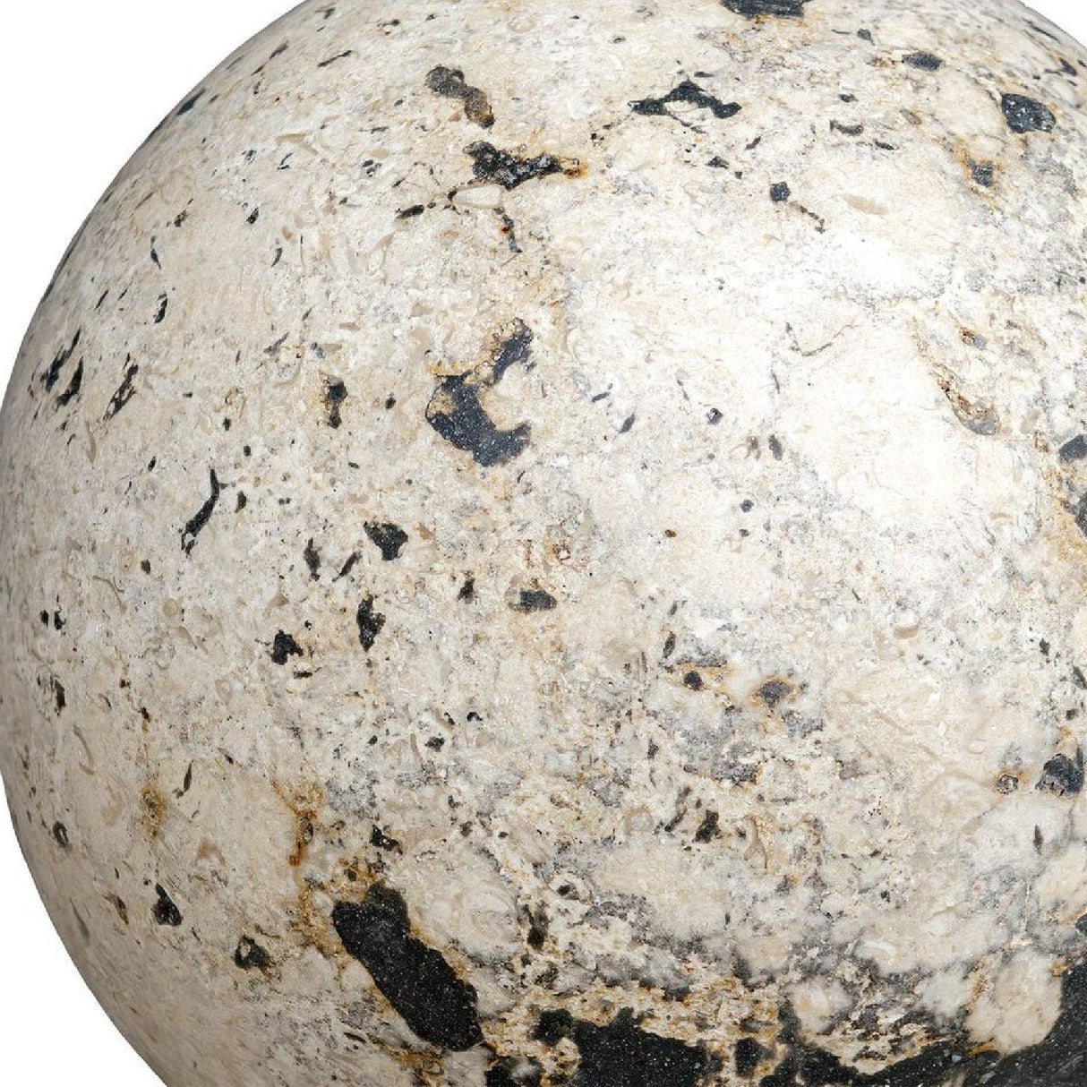 Coral Sphere Indoor/Outdoor Decorative Objects (2) | Uttermost Nouveau - www.oroa.com