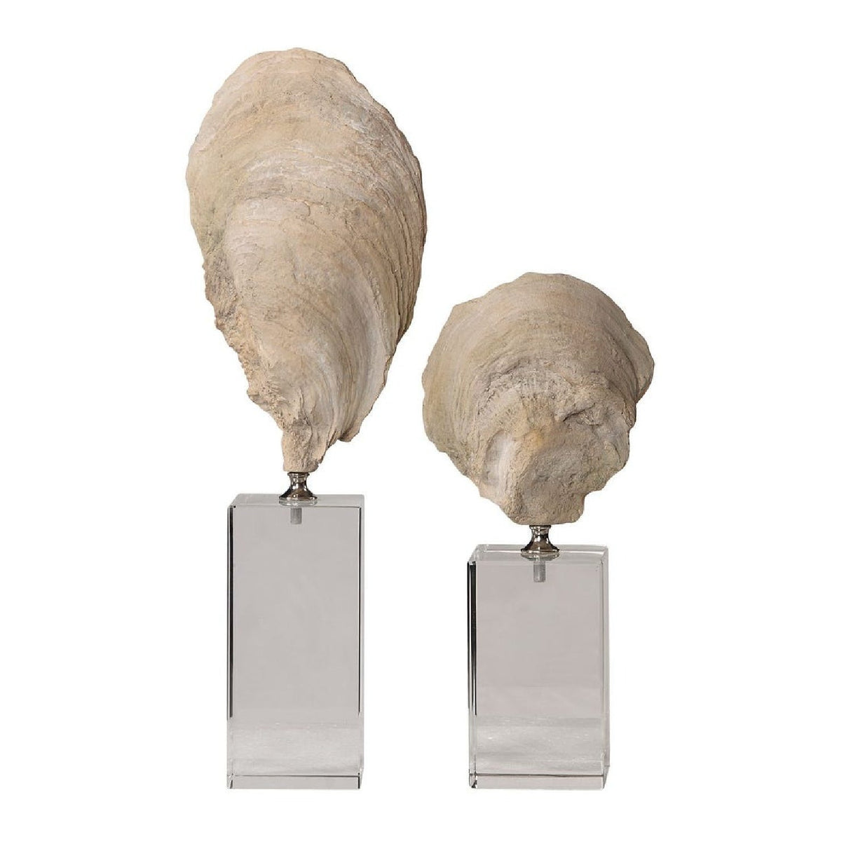 Aged Ivory Sculptures (3) | Uttermost Oyster Shell - www.oroa.com