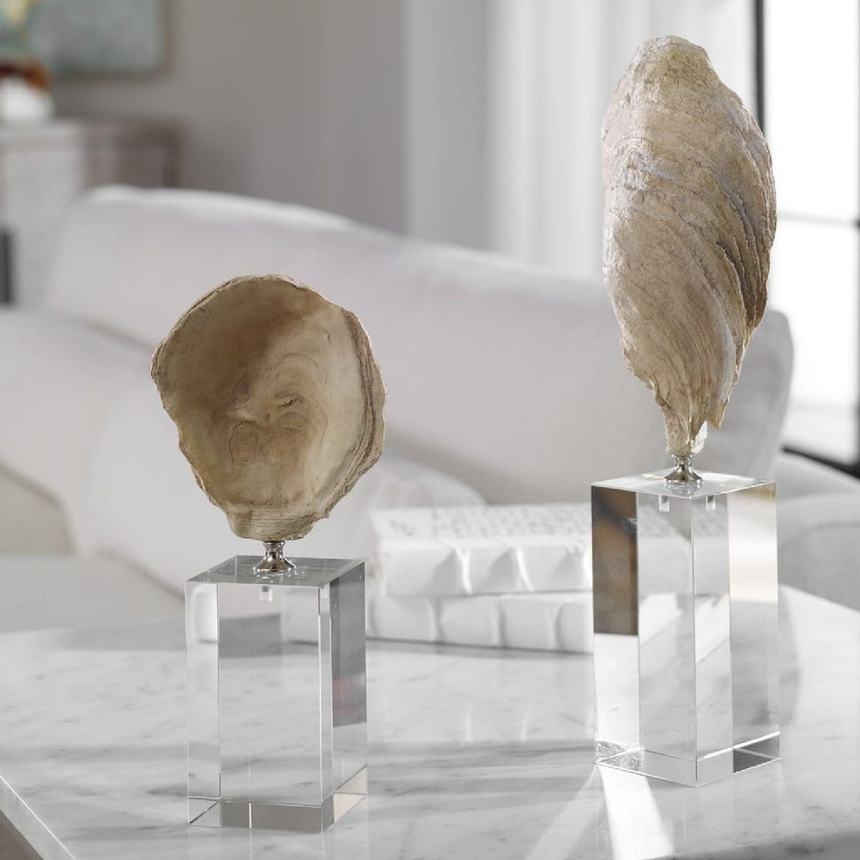 Aged Ivory Sculptures (3) | Uttermost Oyster Shell - www.oroa.com
