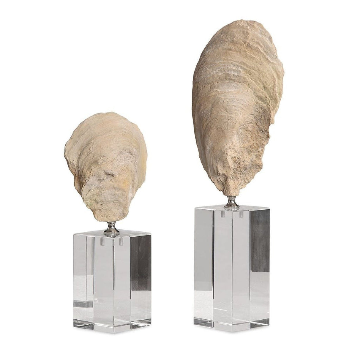 Aged Ivory Sculptures (3) | Uttermost Oyster Shell - www.oroa.com