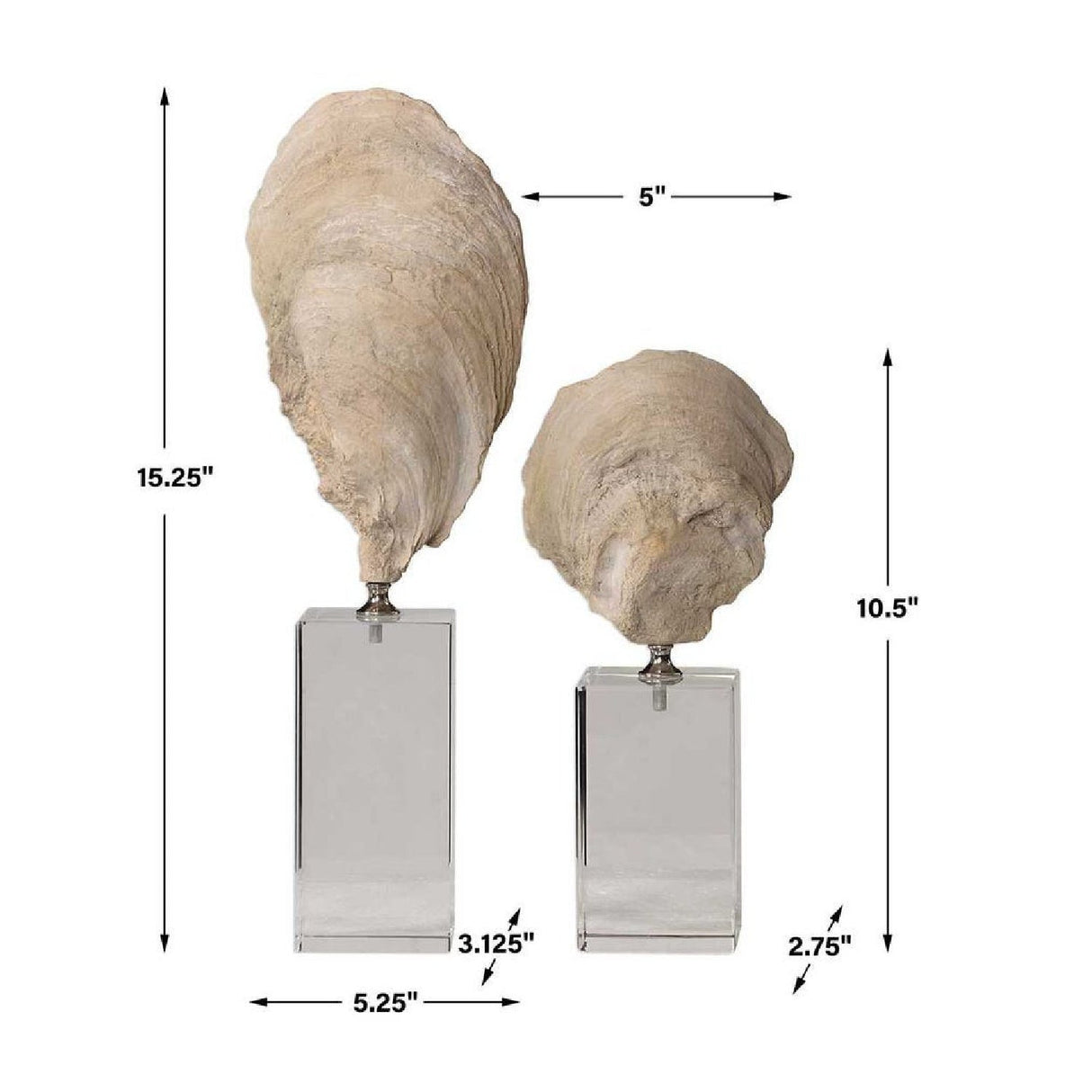 Aged Ivory Sculptures (3) | Uttermost Oyster Shell - www.oroa.com