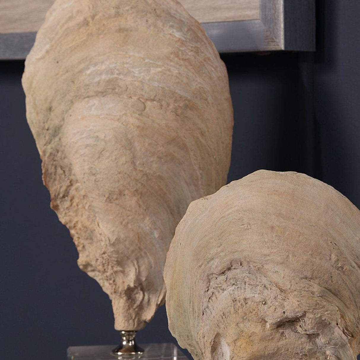Aged Ivory Sculptures (3) | Uttermost Oyster Shell - www.oroa.com
