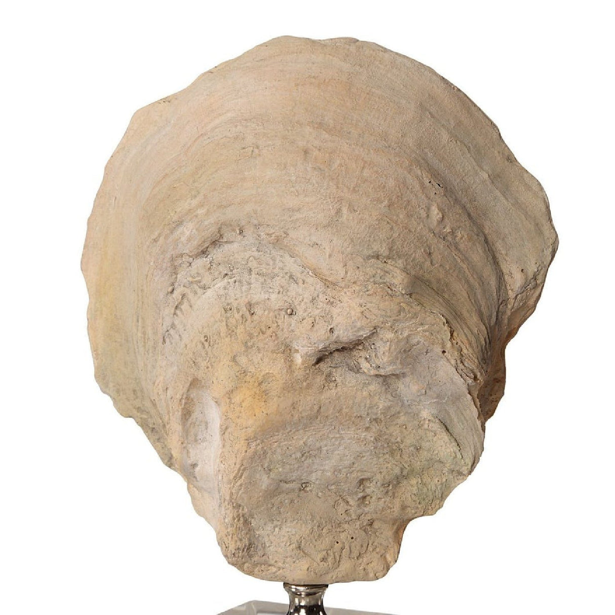 Aged Ivory Sculptures (3) | Uttermost Oyster Shell - www.oroa.com