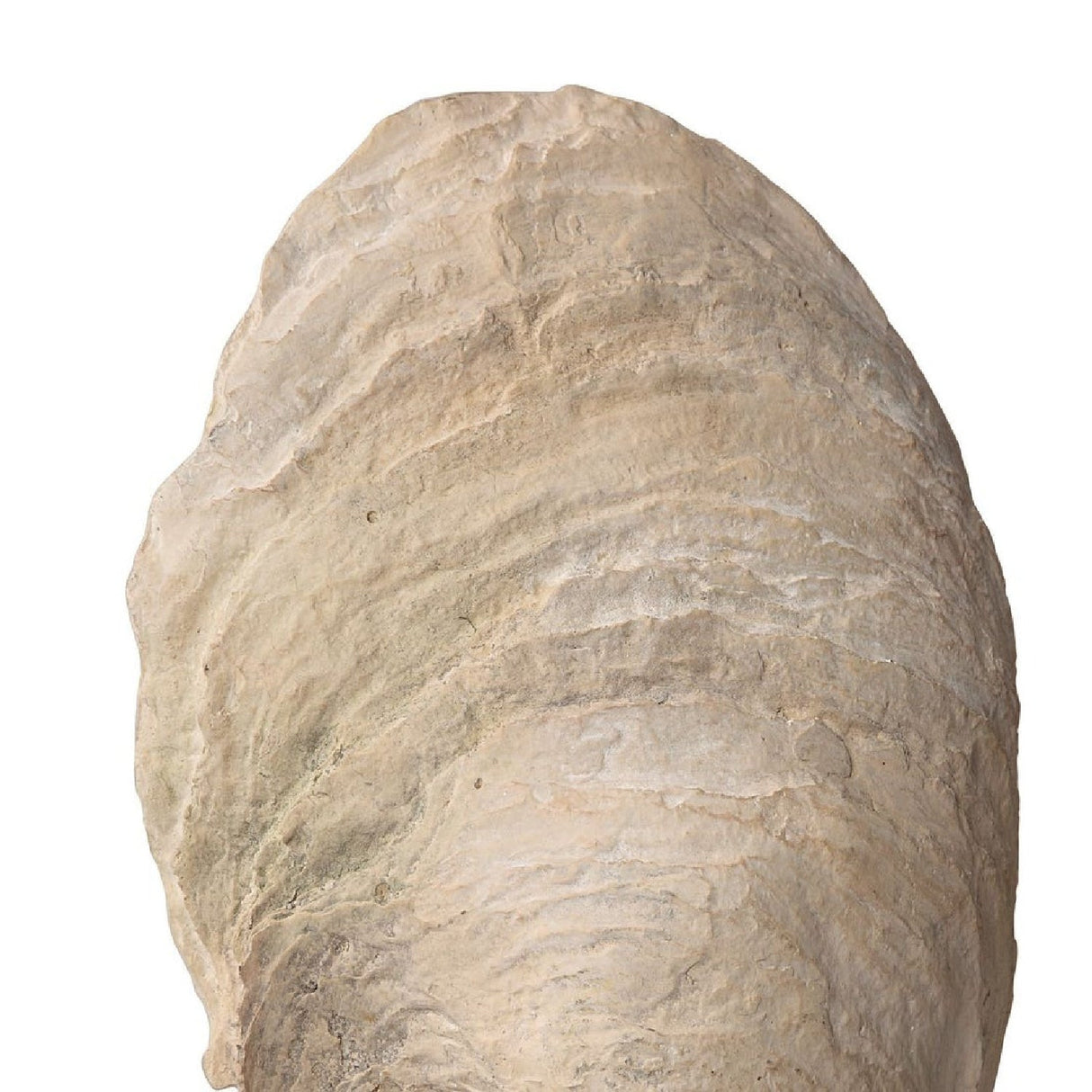 Aged Ivory Sculptures (3) | Uttermost Oyster Shell - www.oroa.com