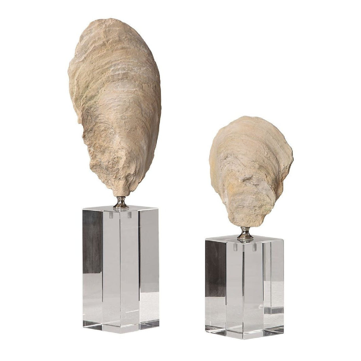 Aged Ivory Sculptures (3) | Uttermost Oyster Shell - www.oroa.com