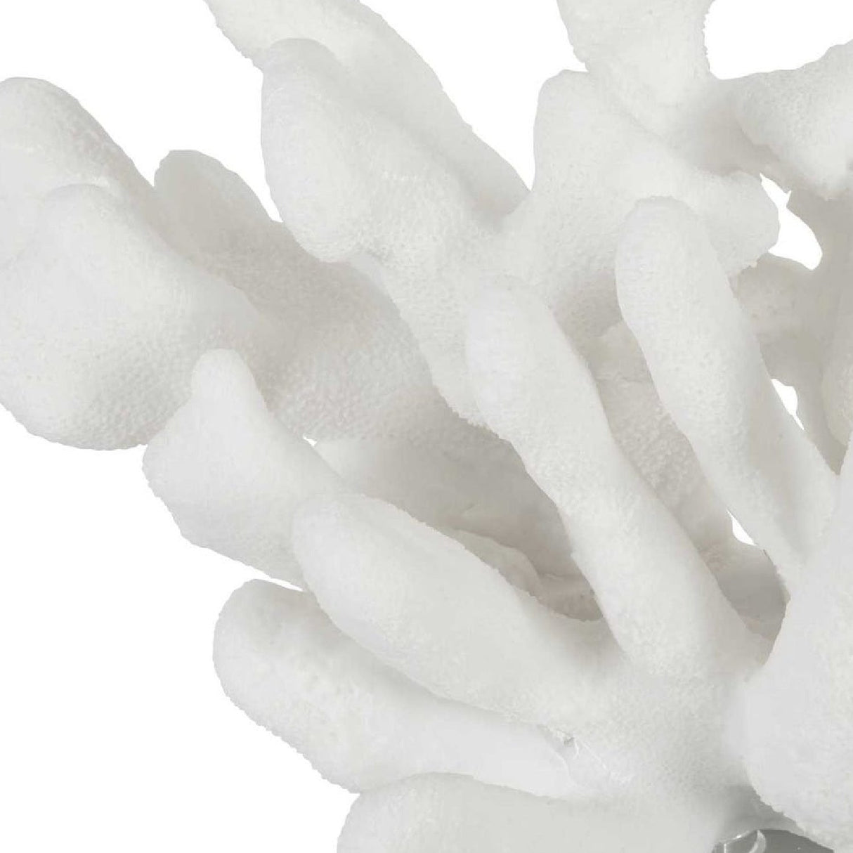 White Coral Inspired Bookends (2) | Uttermost Charbel - www.oroa.com