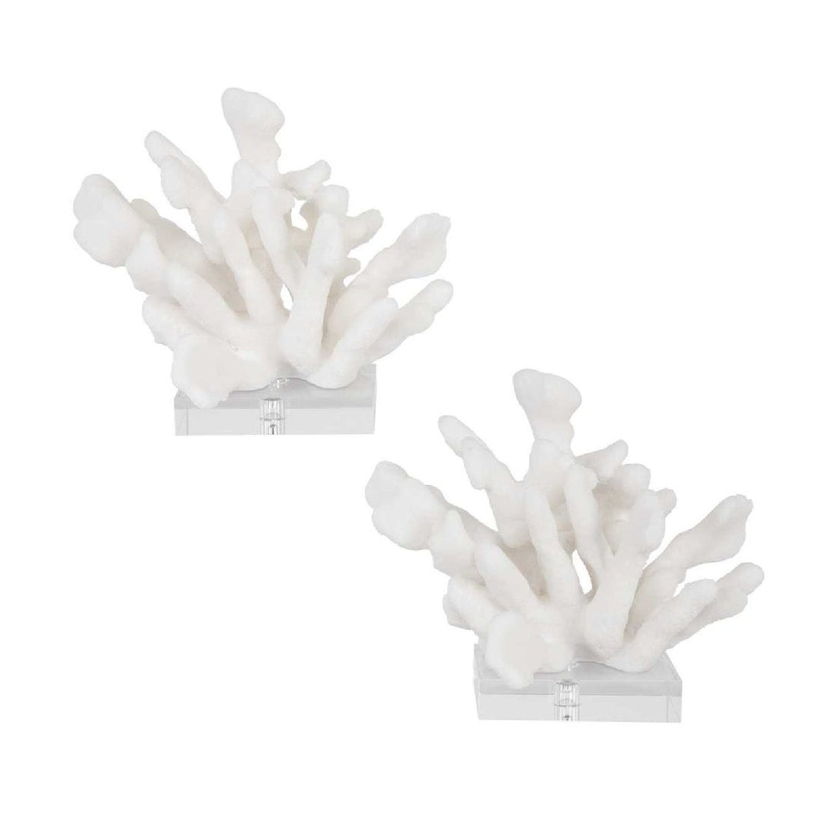 White Coral Inspired Bookends (2) | Uttermost Charbel - www.oroa.com