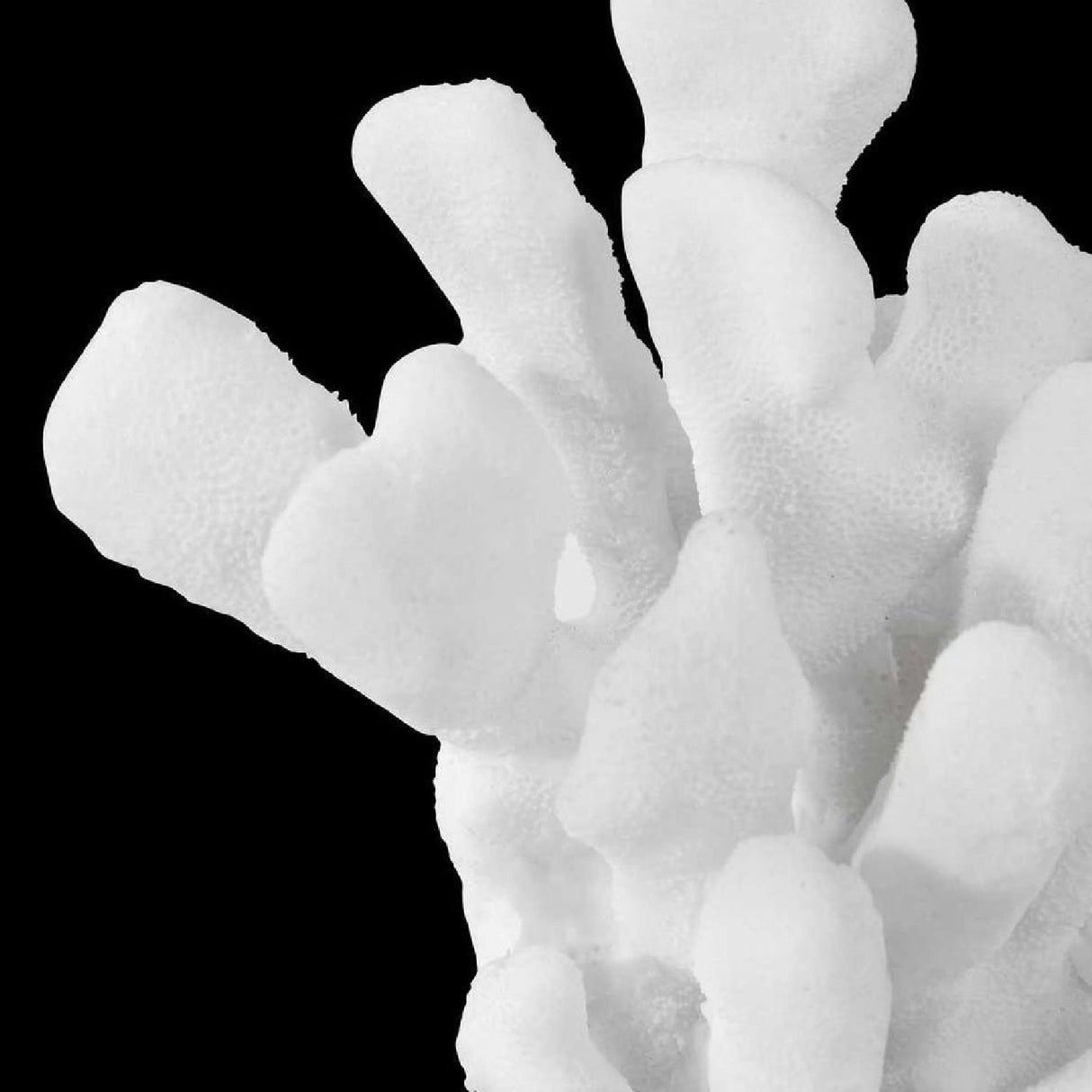 White Coral Inspired Bookends (2) | Uttermost Charbel - www.oroa.com