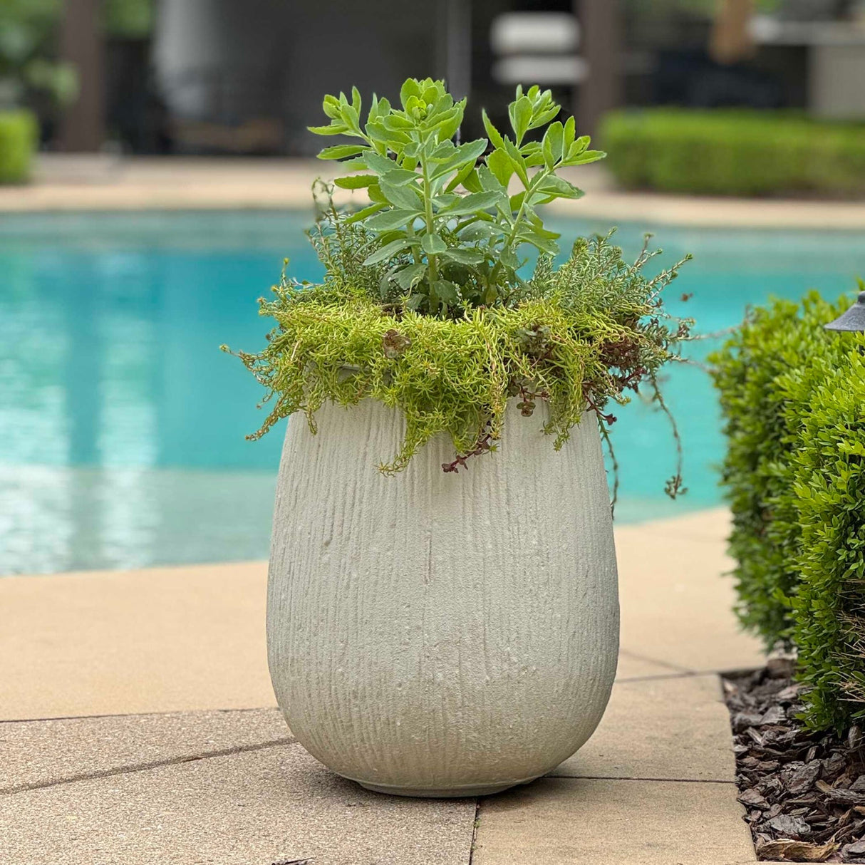 Modern European furniture - Textured White Indoor/Outdoor Planter - www.oroa.com