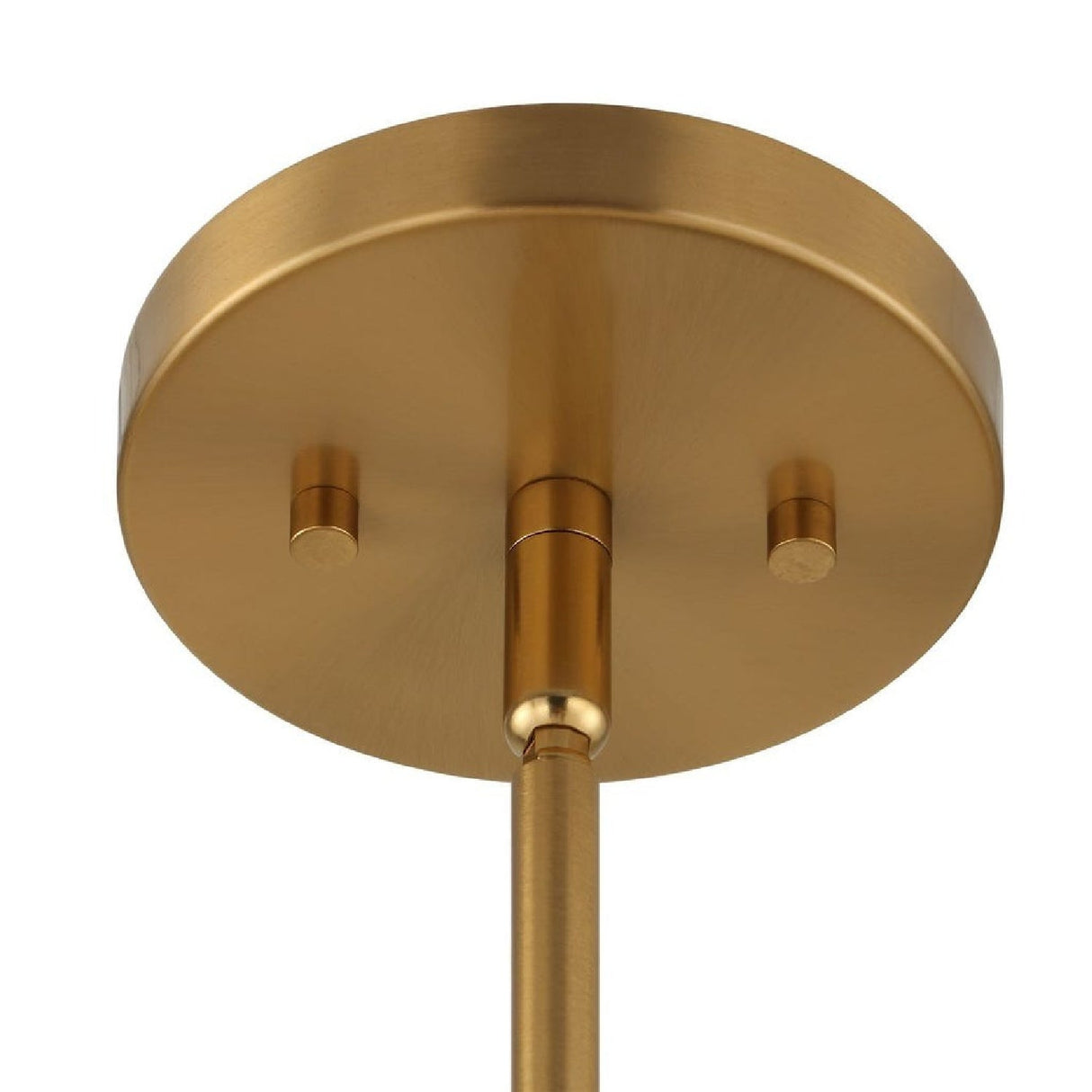 Modern European furniture - Bronze Oval Pendant Lamp - www.oroa.com