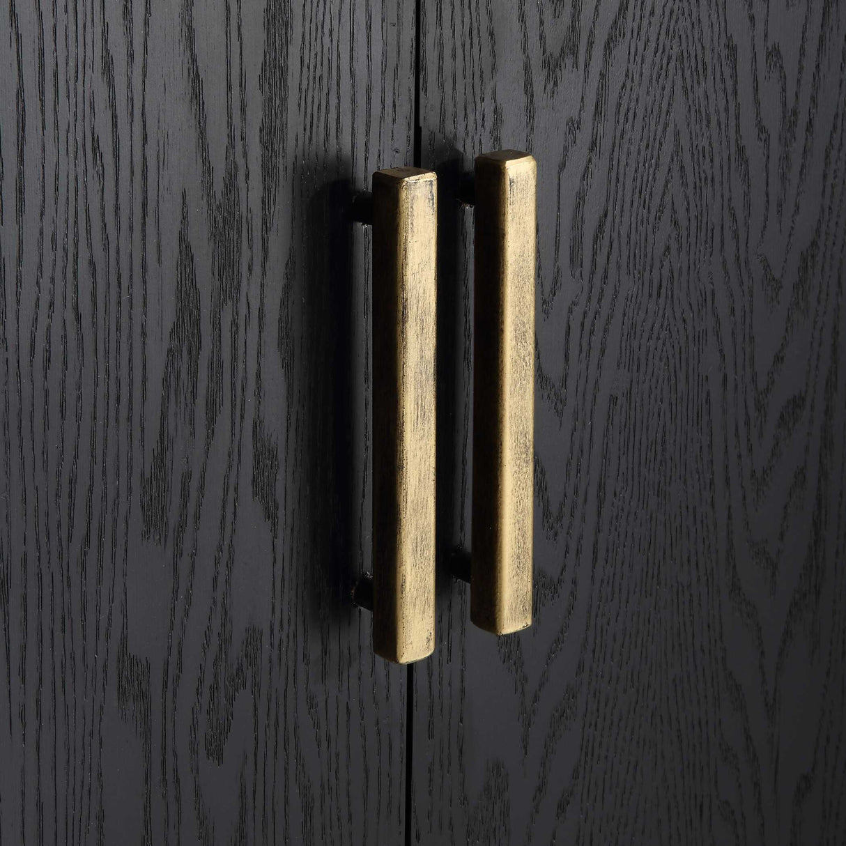 2-Door Oak Veneer Cabinet | Oroa.com