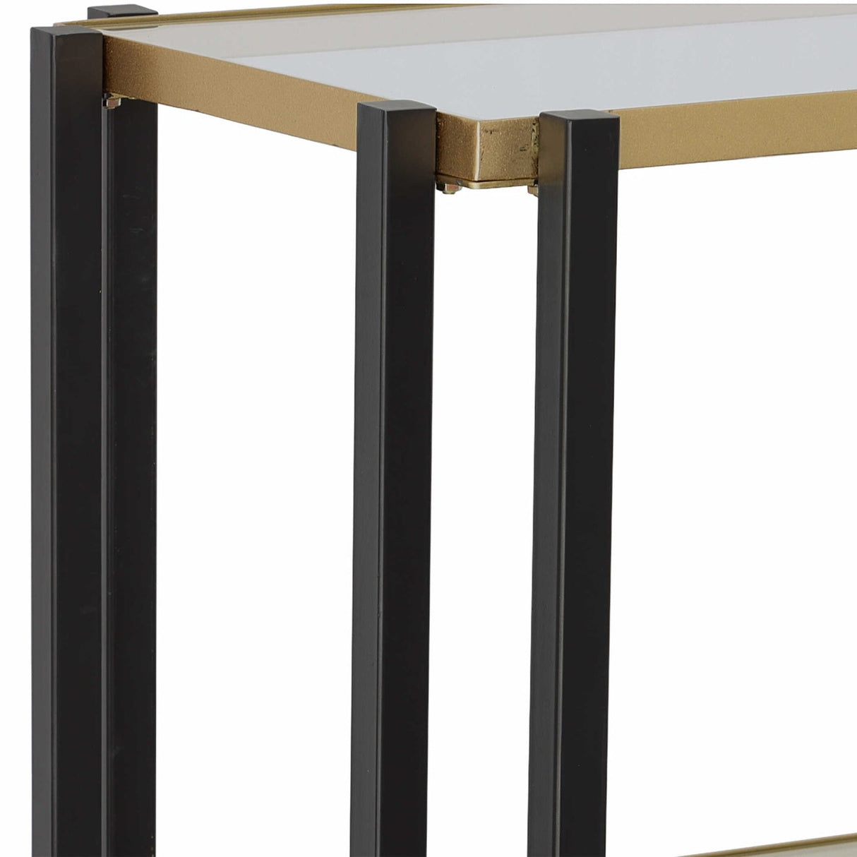 Modern European furniture - Black & Gold Framed Bookshelf - www.oroa.com