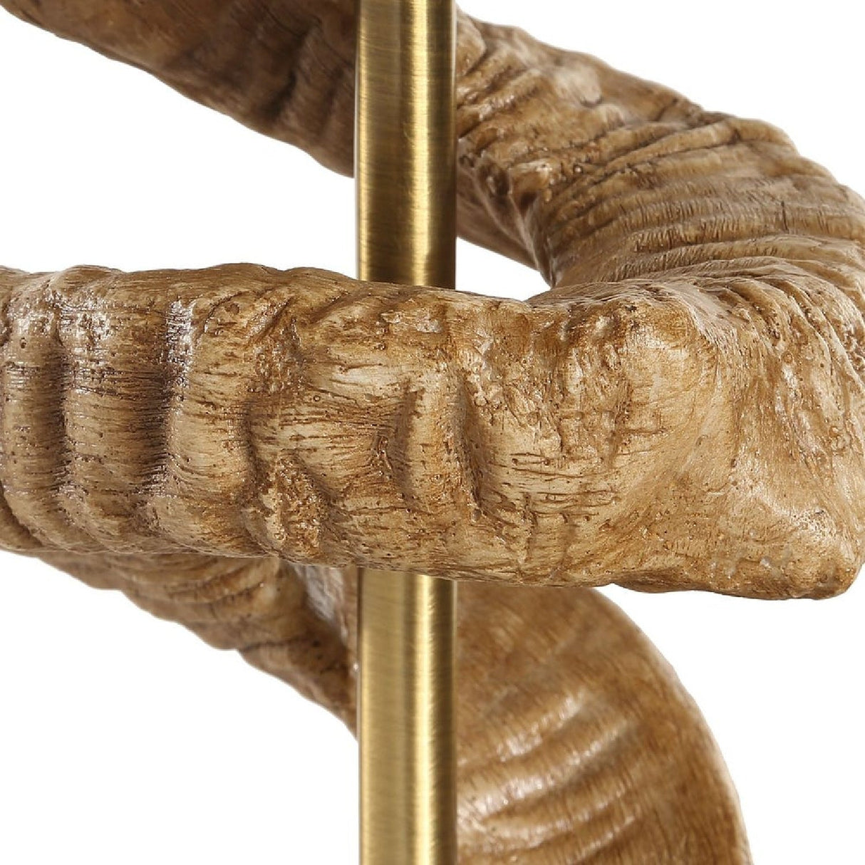 Modern European furniture - Horn-Inspired Base Table Lamp by Uttermost Rams Horn - www.oroa.com