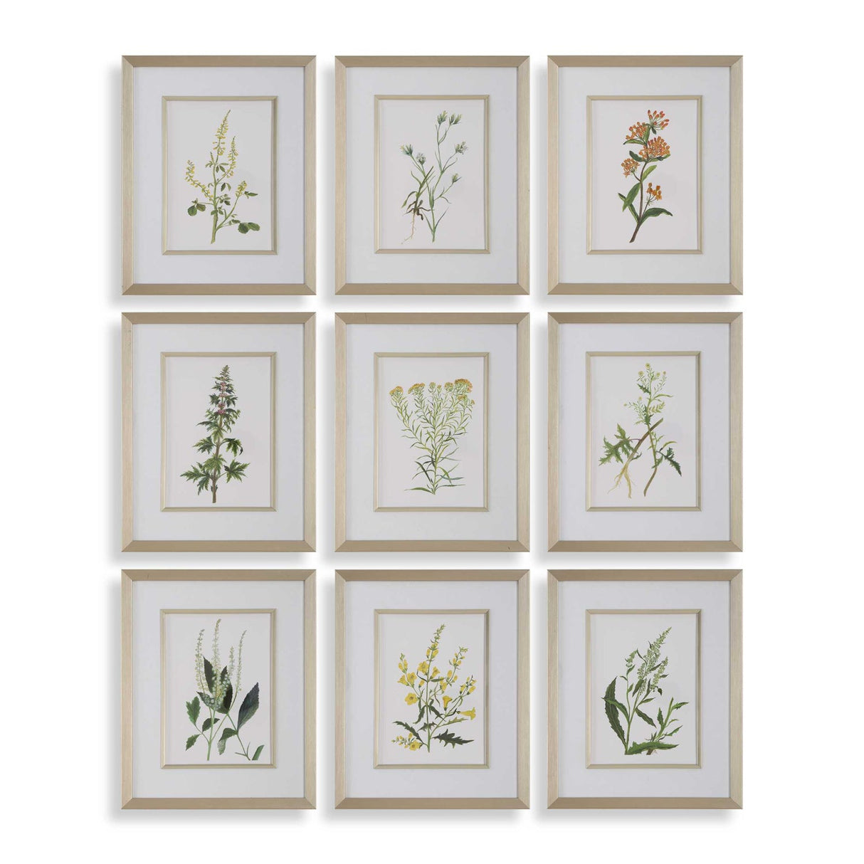 Modern European furniture - Contemporary Floral Art Prints (9) - www.oroa.com