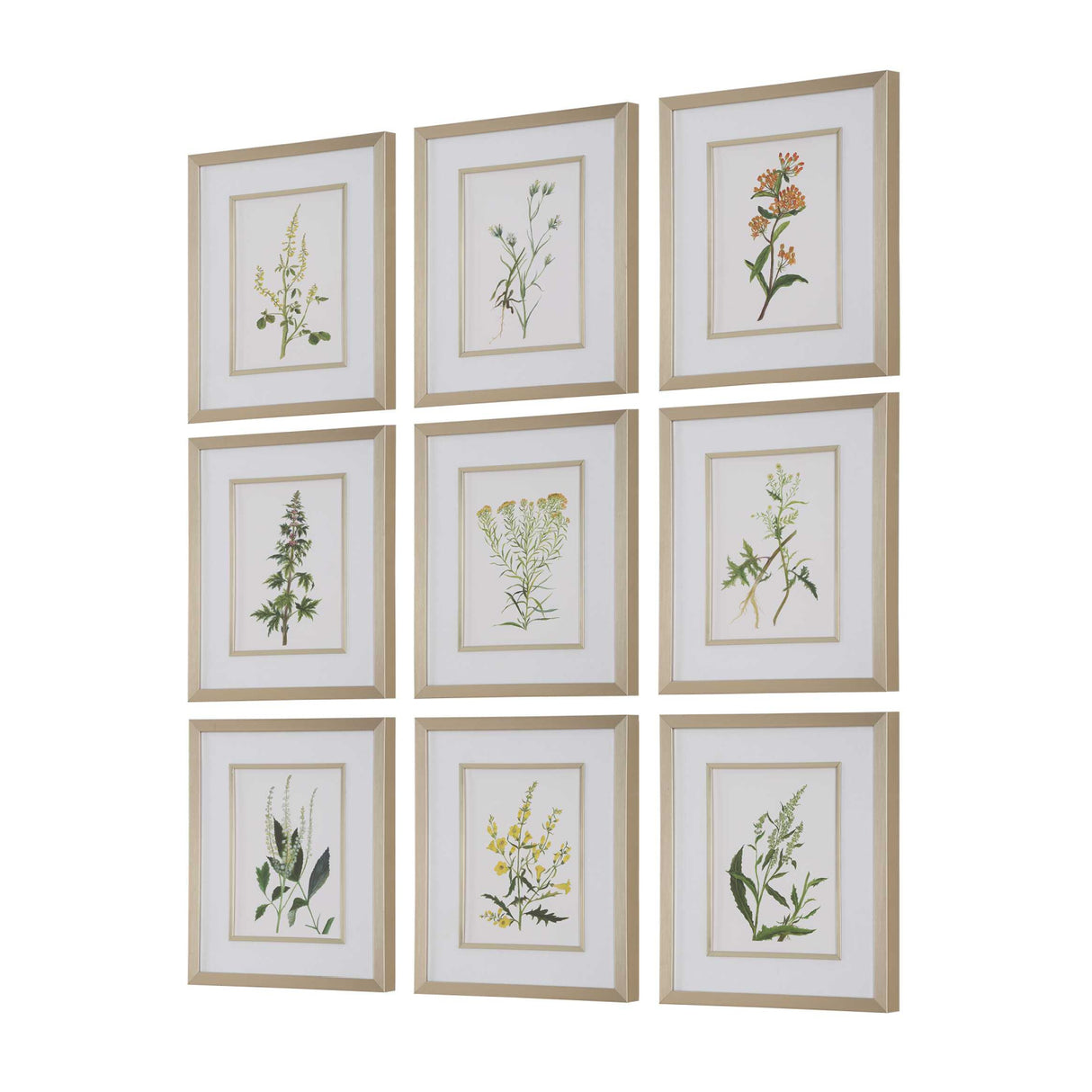 Modern European furniture - Contemporary Floral Art Prints (9) - www.oroa.com