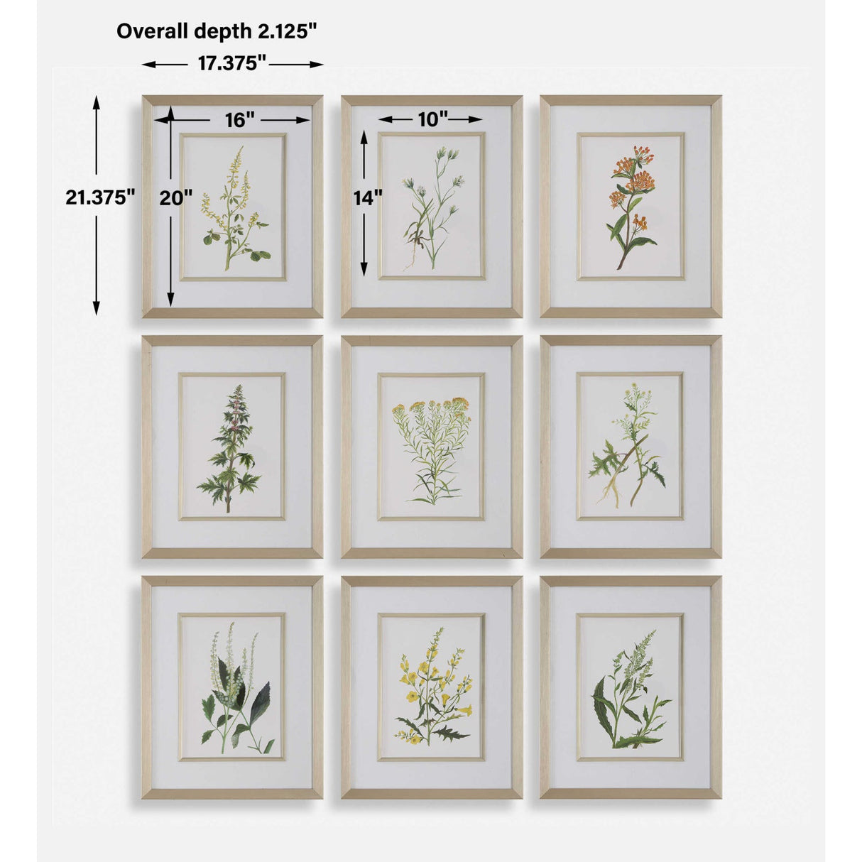 Modern European furniture - Contemporary Floral Art Prints (9) - www.oroa.com