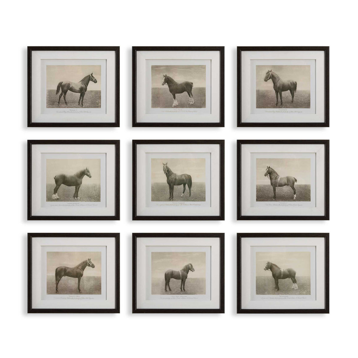 Horse Sketch Art Prints (9) | Uttermost Equine Dynasty