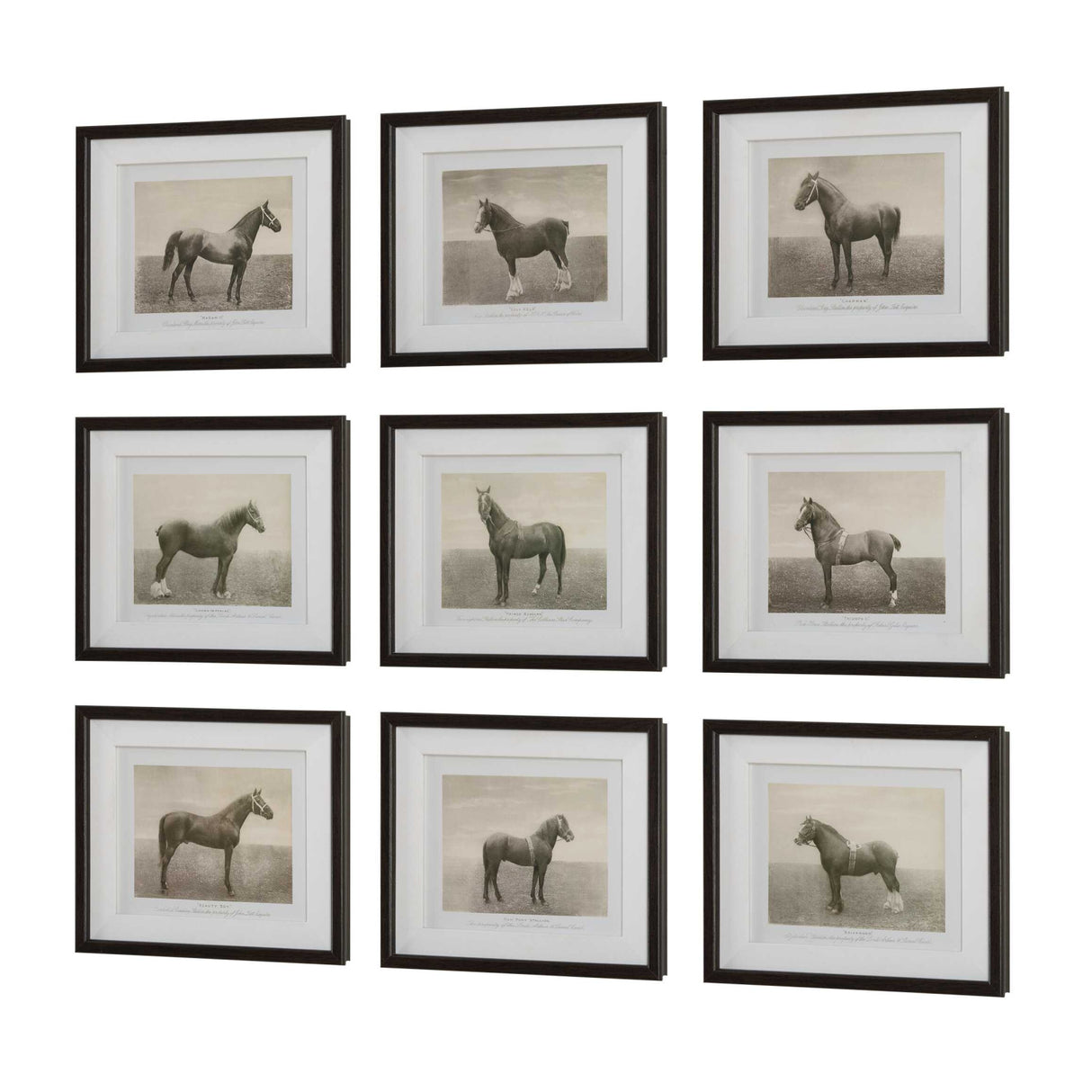Horse Sketch Art Prints (9) | Uttermost Equine Dynasty