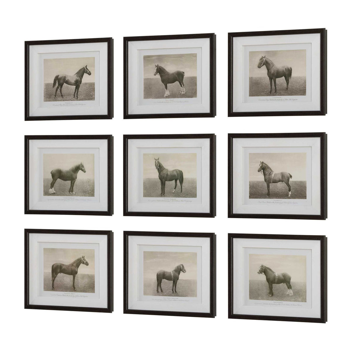 Horse Sketch Art Prints (9) – Equine Dynasty – side view