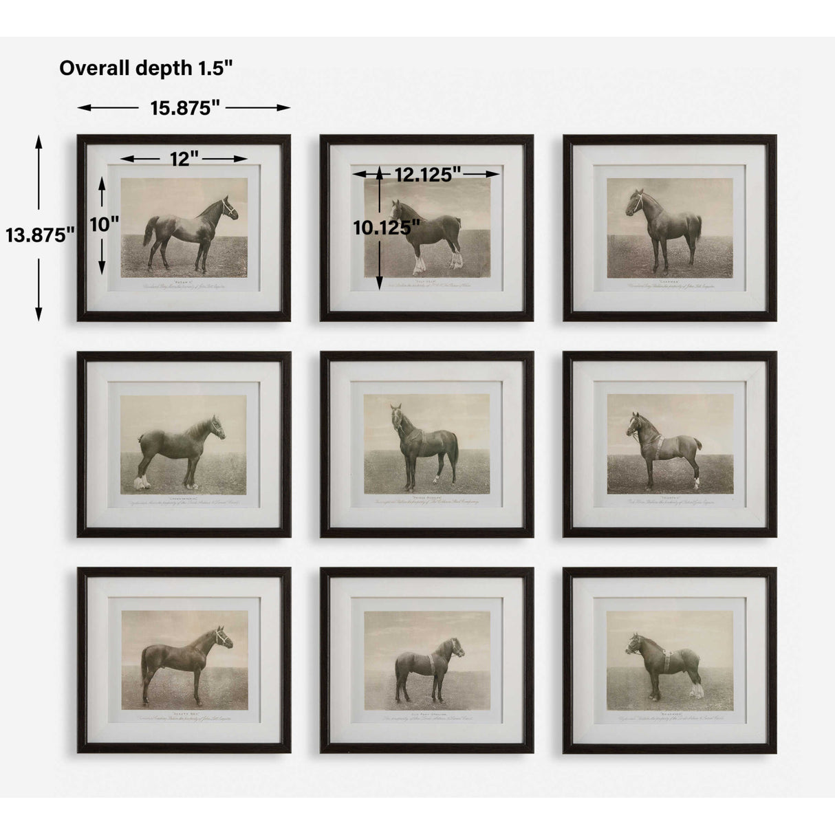 Horse Sketch Art Prints (9) | Uttermost Equine Dynasty