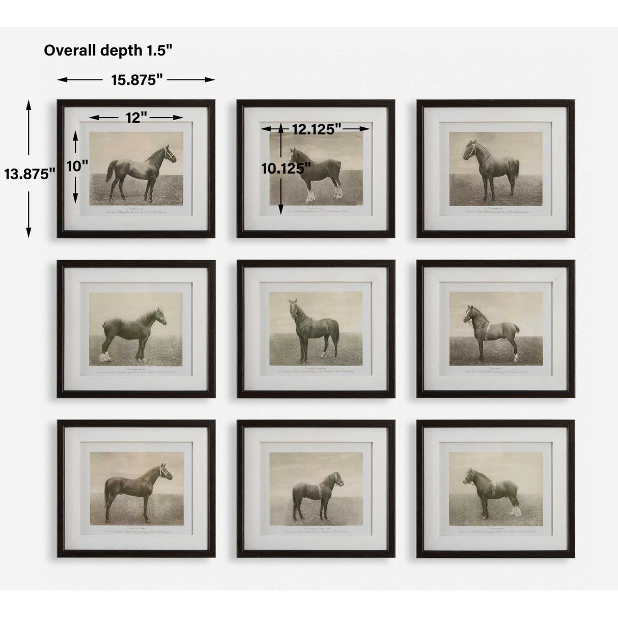 Horse Sketch Art Prints (9) – Equine Dynasty – alternate view 7