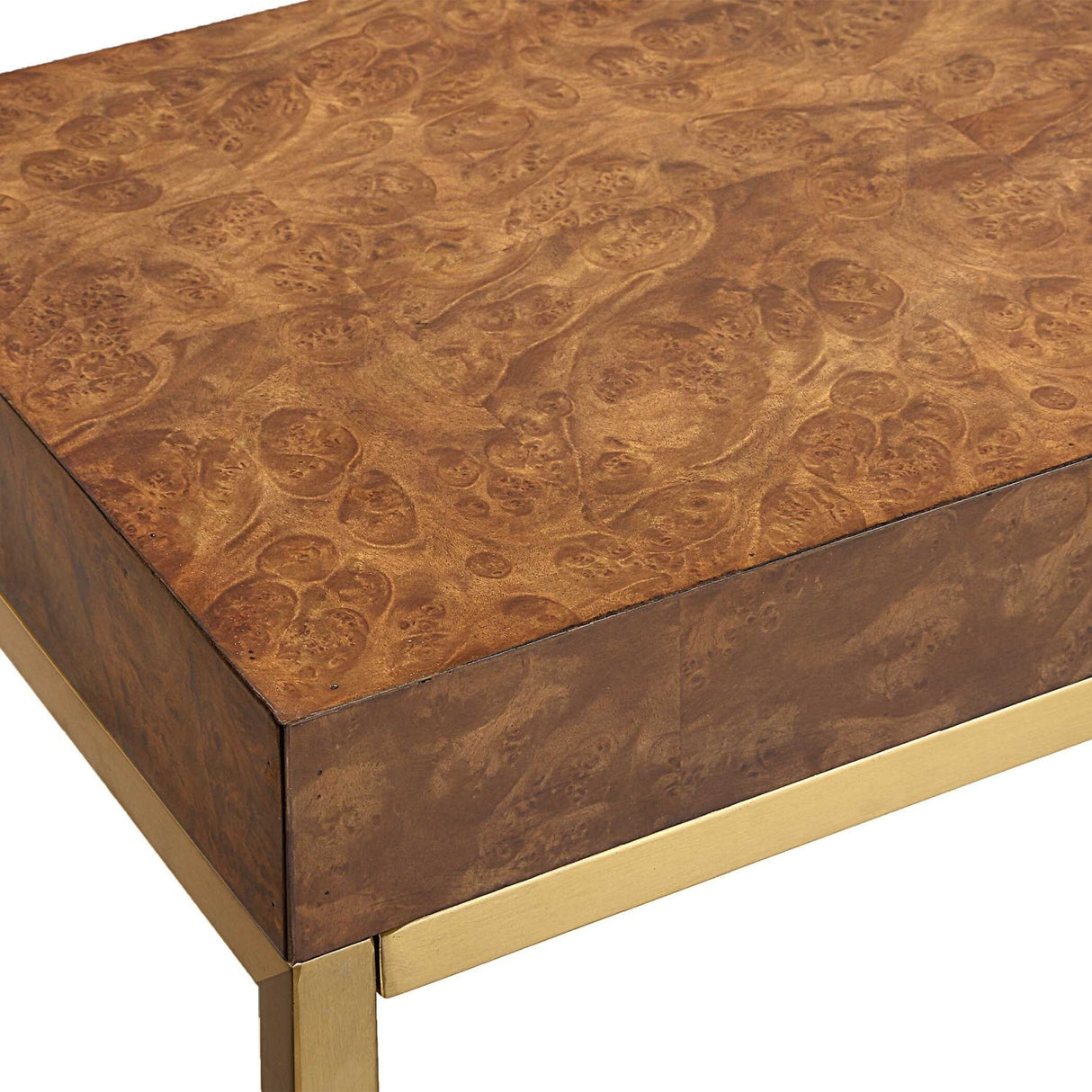 Burl Veneer Console Table by Uttermost Moran, alternate view 4