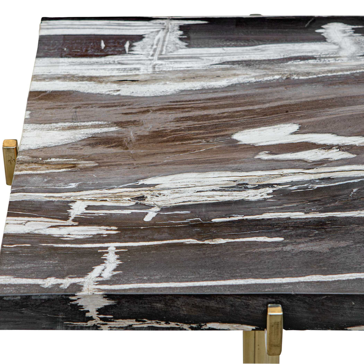 Modern European furniture - Square Petrified Wood Accent Table - www.oroa.com