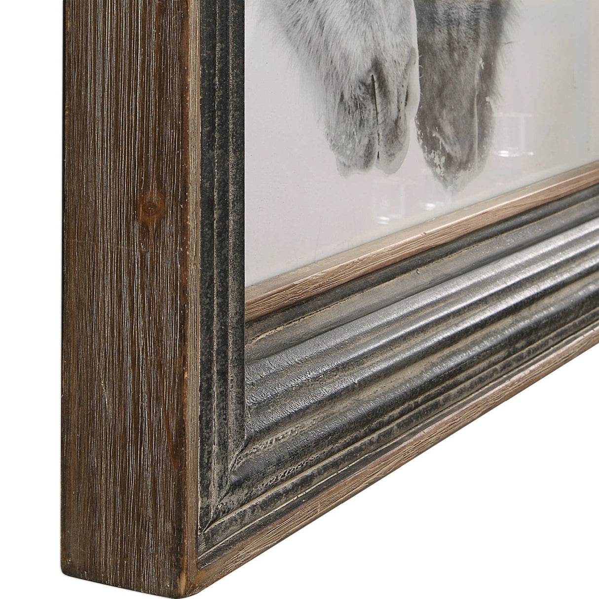 Modern European furniture - Black & White Horses Art Print - www.oroa.com