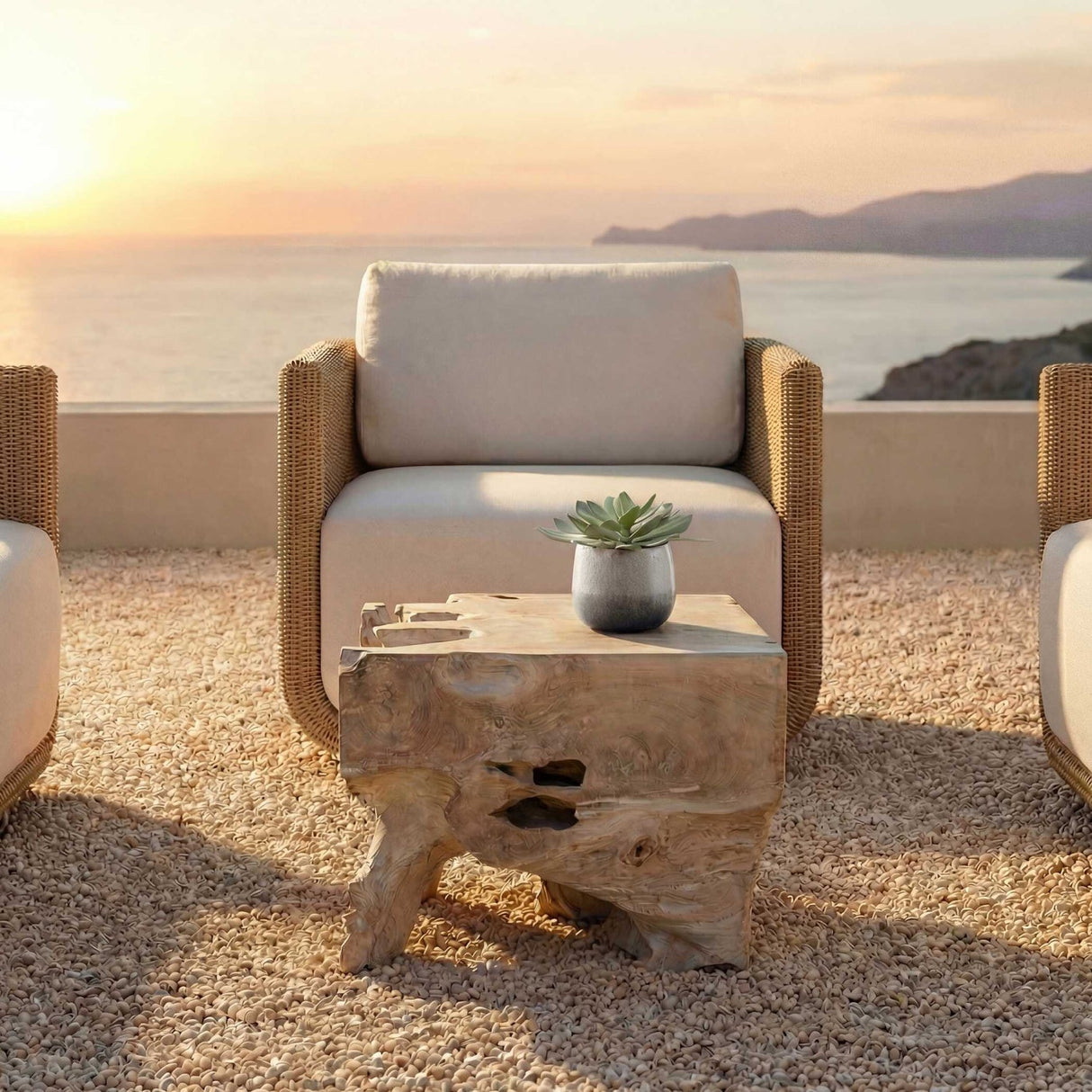 Modern European furniture - Teak Root Indoor/Outdoor Coffee Table - www.oroa.com