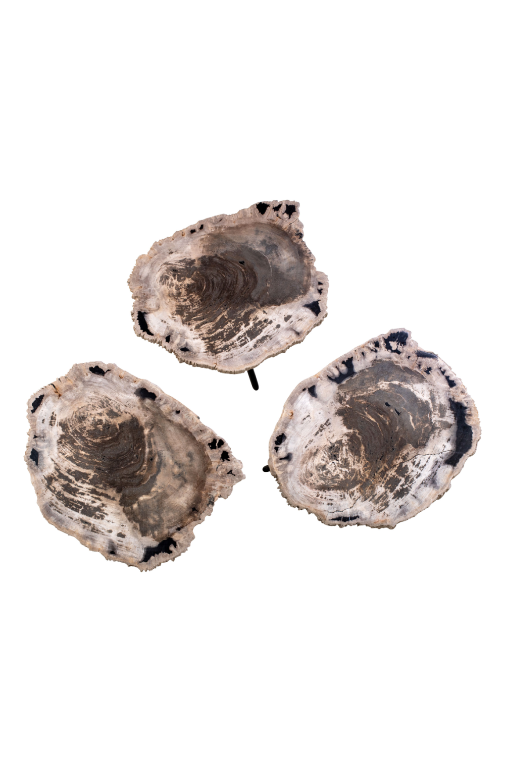 Petrified Wood Coffee Table Set (3) | Versmissen | Oroa.com