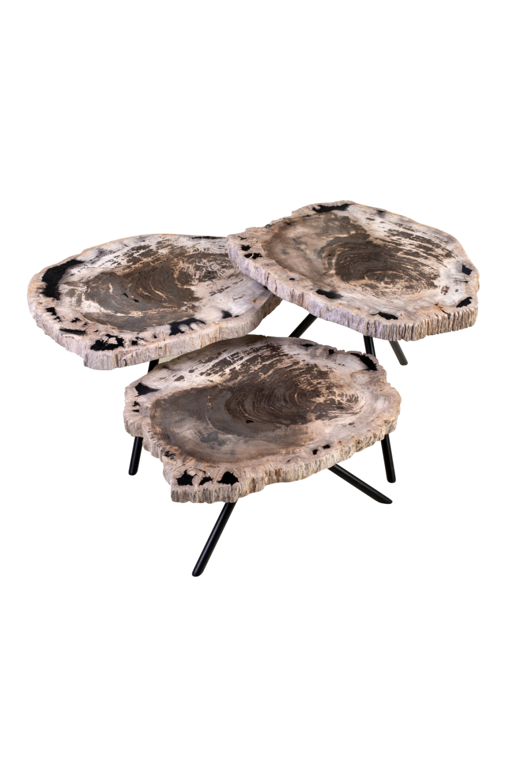 Petrified Wood Coffee Table Set (3) | Versmissen | Oroa.com