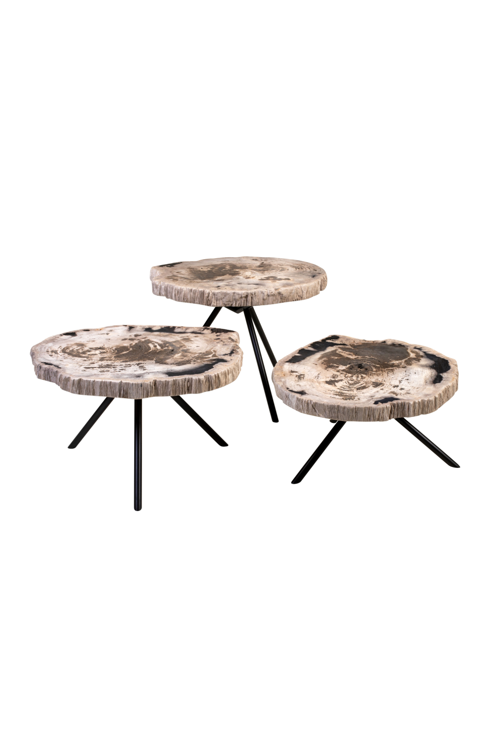 Petrified Wood Coffee Table Set (3) | Versmissen | Oroa.com
