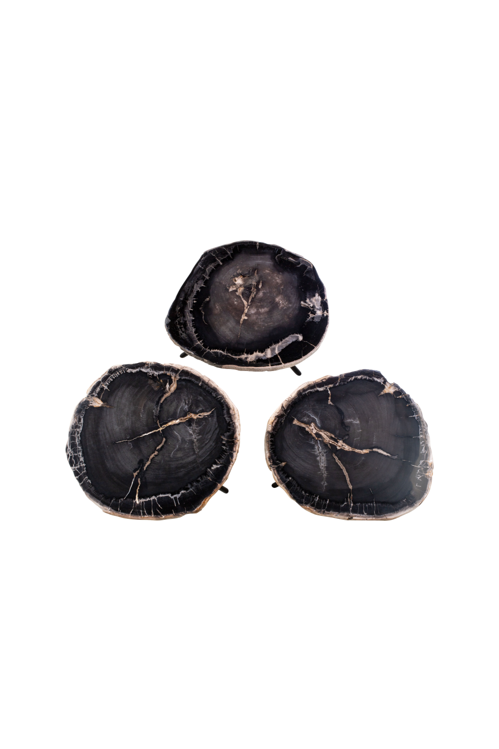 Petrified Wood Coffee Table Set (3) | Versmissen | Oroa.com