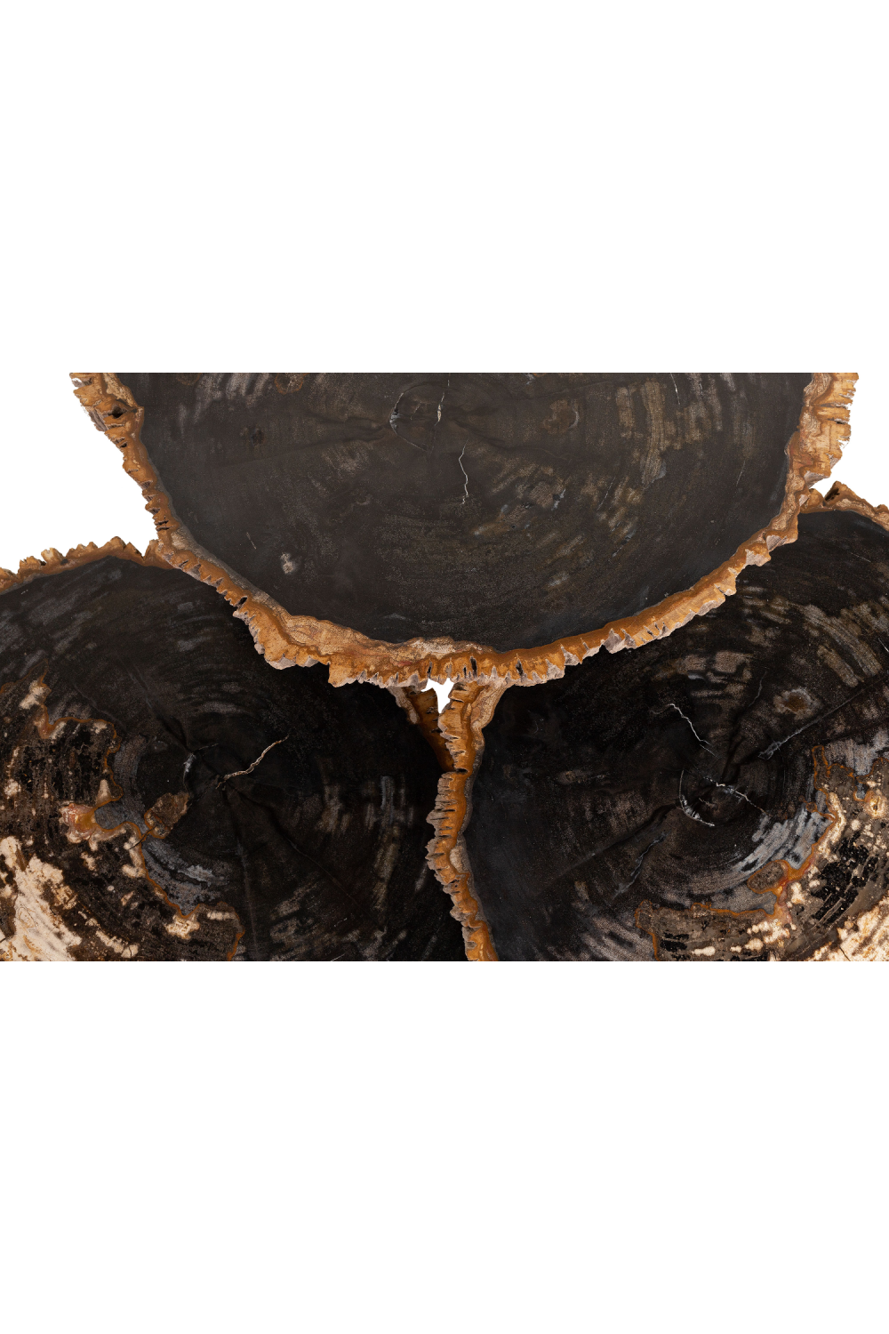 Petrified Wood Coffee Table Set (3) | Versmissen | Oroa.com