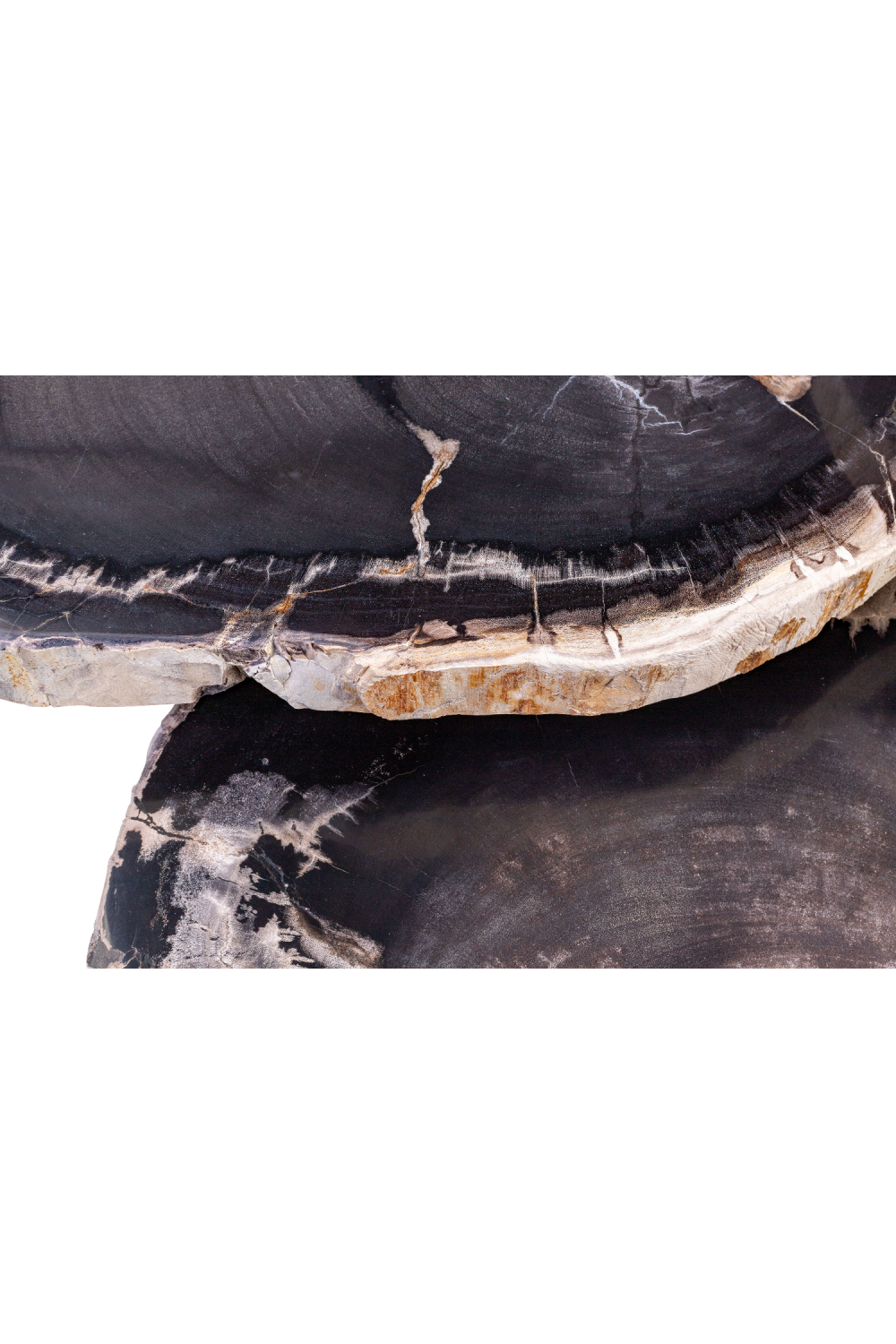 Petrified Wood Coffee Table Set (3) | Versmissen | Oroa.com